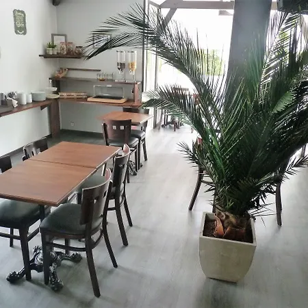 波尔多机场伍德酒店 Mérignac