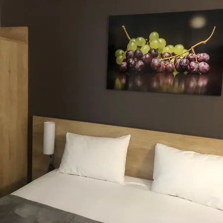 波尔多机场伍德酒店